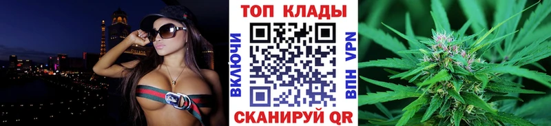 Купить закладку Кингисепп Галлюциногенные грибы  Меф  АМФЕТАМИН  Alpha PVP  Гашиш  Cocaine  Бошки Шишки 