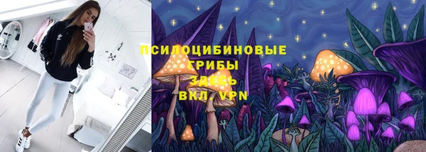 2c-b Абаза