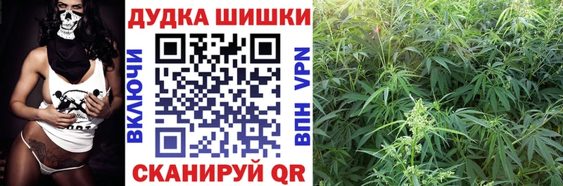 закладка darknet Telegram Каннабис LSD WEED Кингисепп